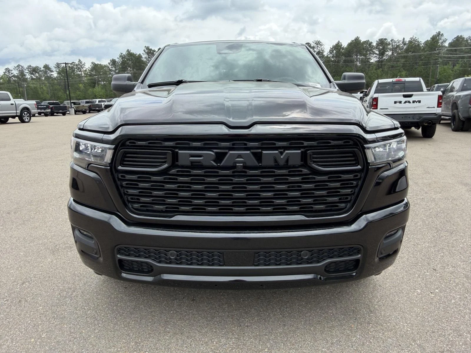 New 2026 Diamond Black Crystal Pearl-Coat Exterior Paint RAM Express image 2