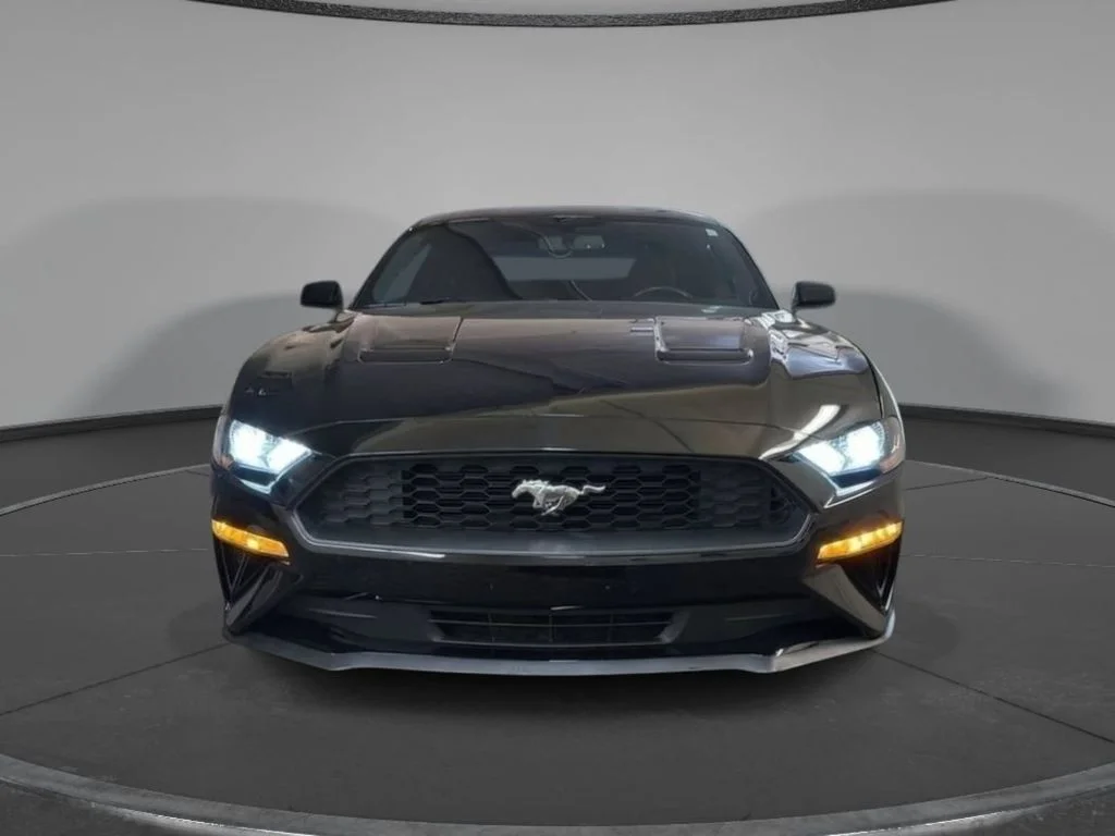 2018 Ford Mustang EcoBoost - Photo 2