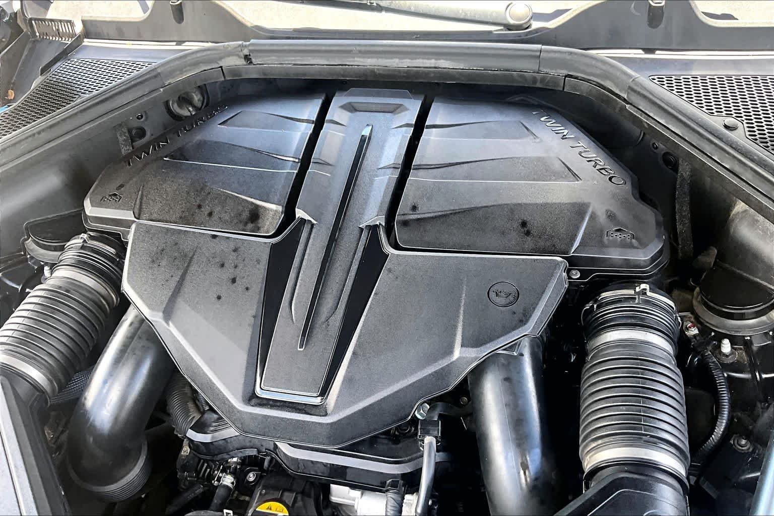Used 2021 Vik Black Genesis  image 33