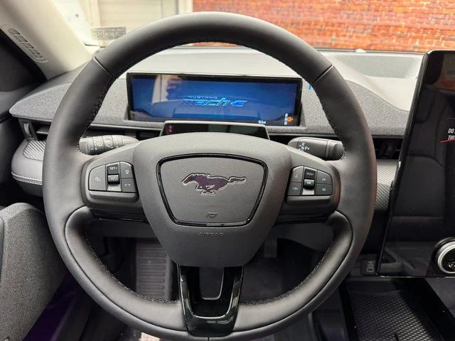 New 2025 Beige Ford Premium image 15