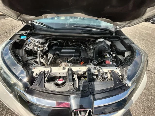 View 20