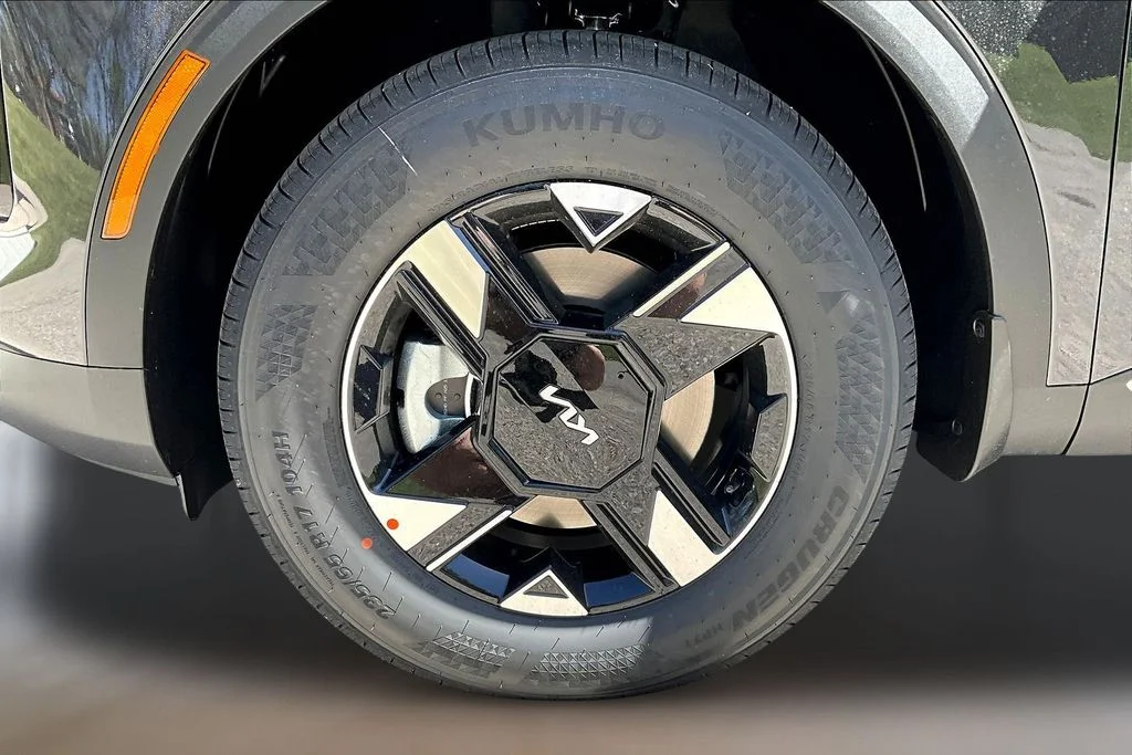 New 2026 Panthera Metal Kia LX image 12