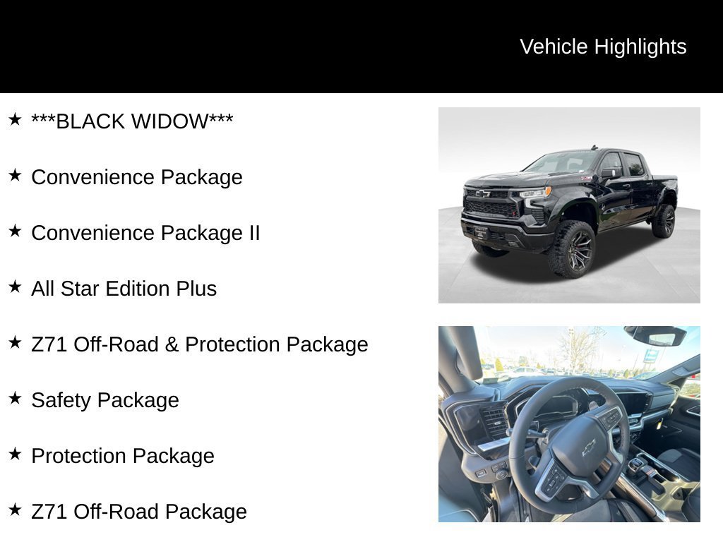 2025 Chevrolet Silverado 1500 RST - Photo 10