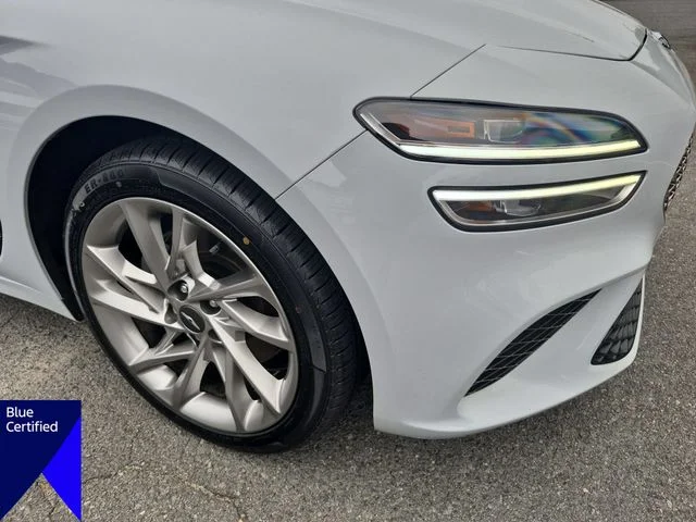 Used 2022 White Genesis 2.0T image 10