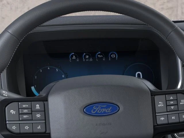 New 2026 Agate Black Metallic Ford Platinum image 17