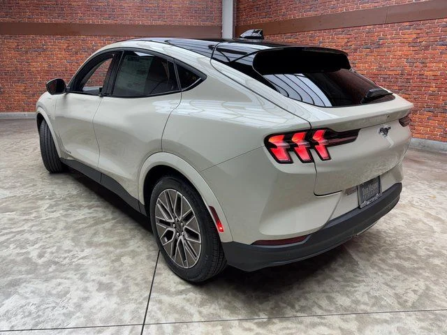 New 2025 Beige Ford Premium image 3