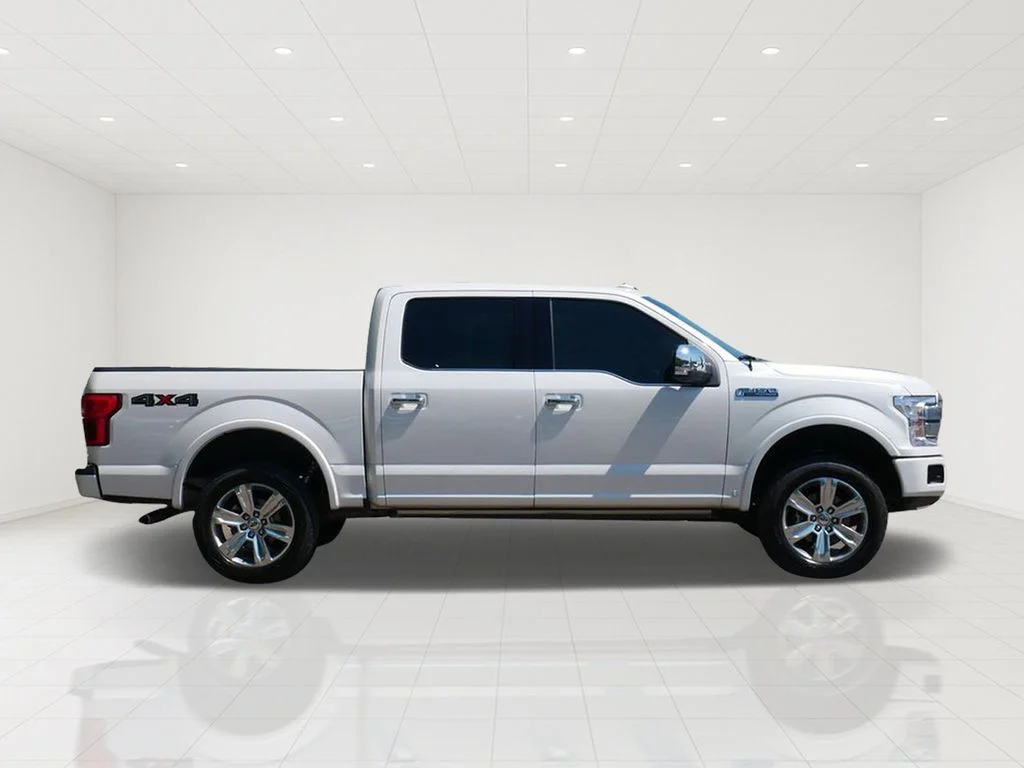 Certified 2019 Ford F-150 Platinum with VIN 1FTEW1E48KFC08665 for sale in White Bear Lake, Minnesota