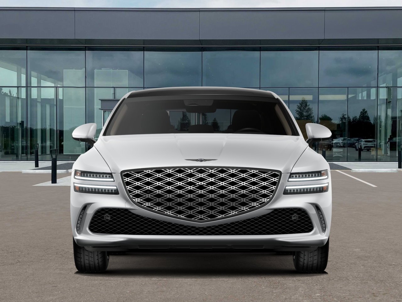 New 2027 Alta White Genesis  image 6
