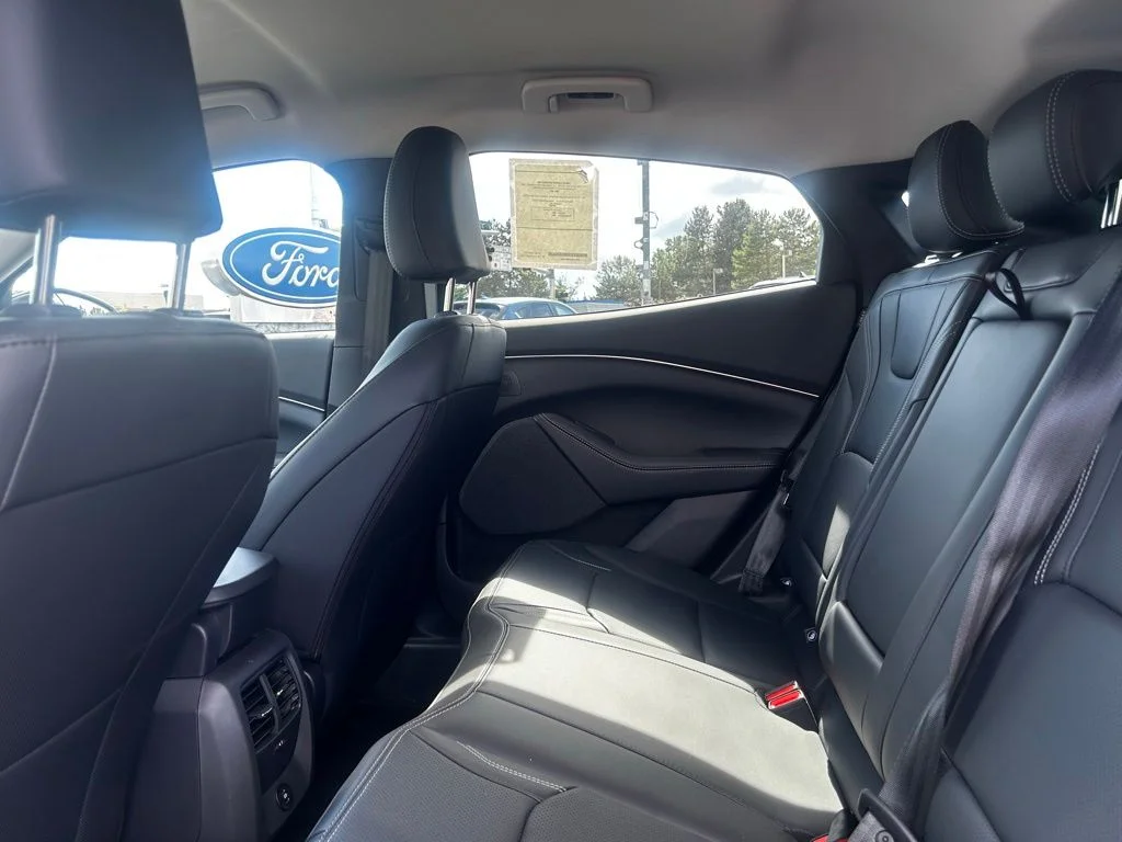 New 2026 Desert Sand Ford Premium image 10