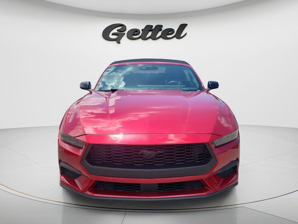 Used 2024 Red Ford EcoBoost Premium image 2