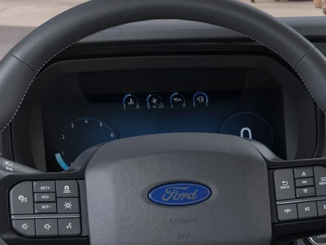 New 2026 White Ford Platinum image 13
