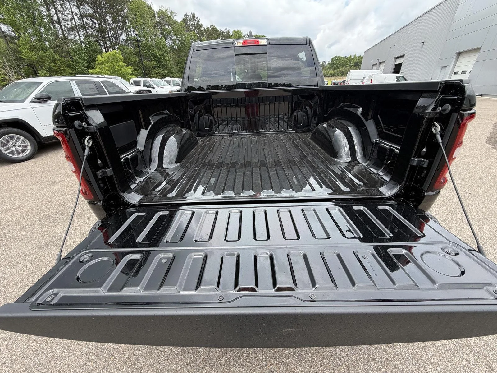 New 2026 Diamond Black Crystal Pearl-Coat Exterior Paint RAM Express image 19