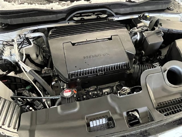 New 2026 Platinum White Pearl Honda RTL image 11