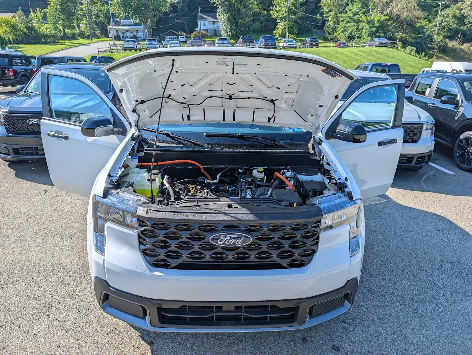 New 2026 Oxford White Ford XLT image 10