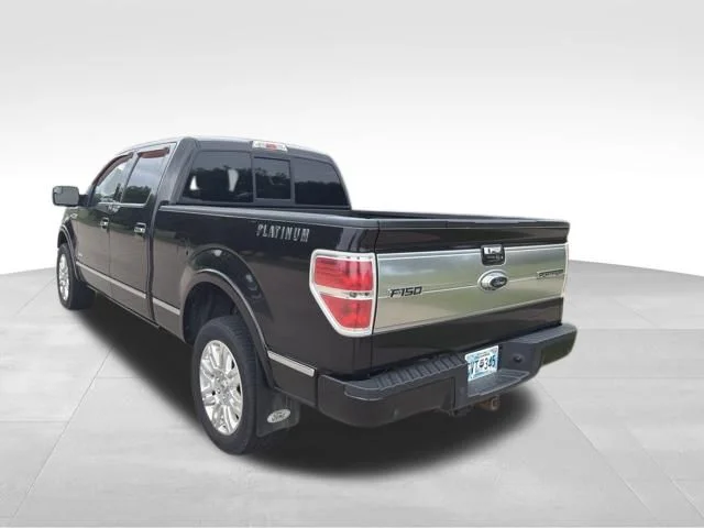 Used 2013 Brown Ford Platinum image 6