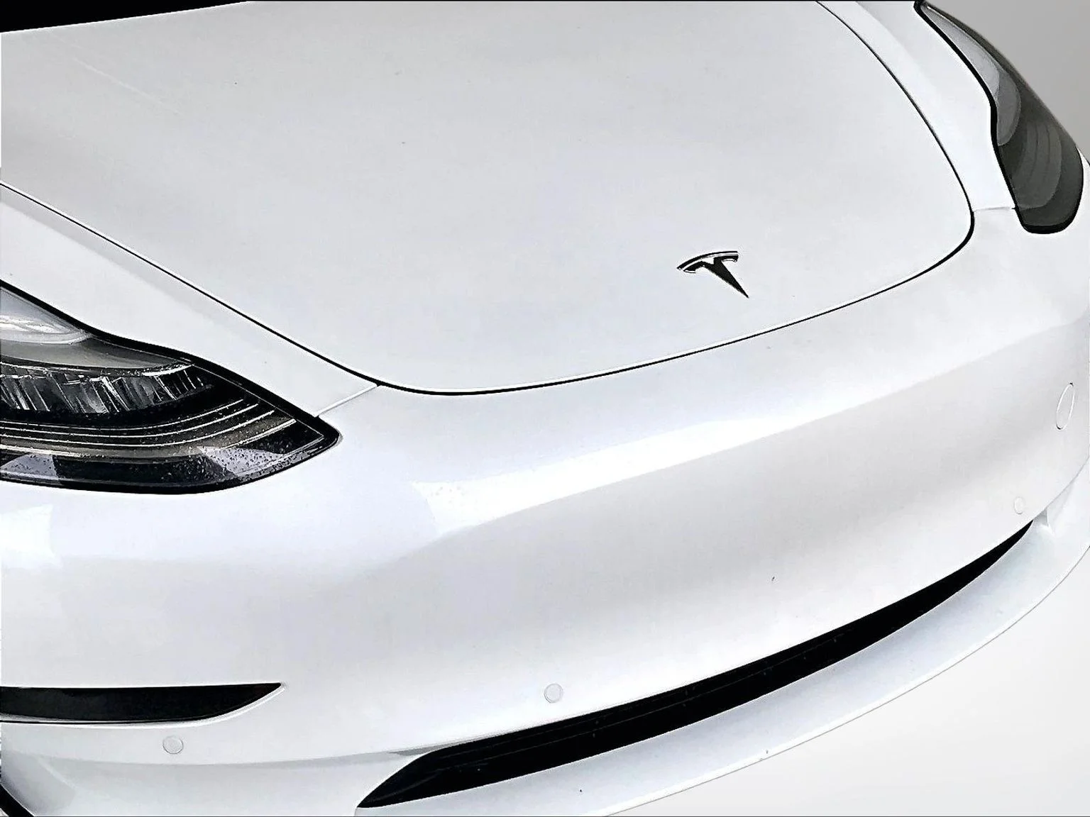 Used 2019 White Tesla Standard Range Plus image 28