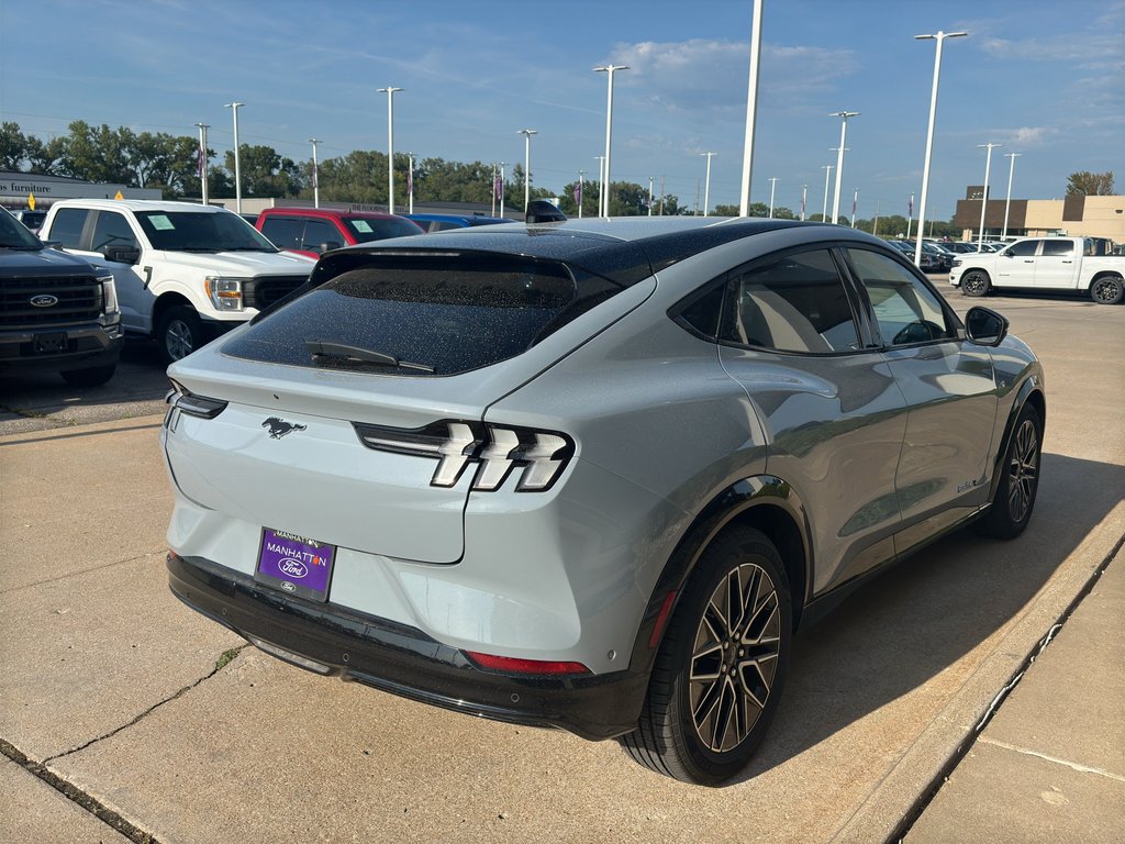 Used 2024 Glacier Gray Metallic TriCoat Ford Premium image 9
