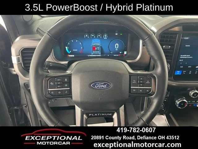 Used 2025 Gray Ford Platinum image 37