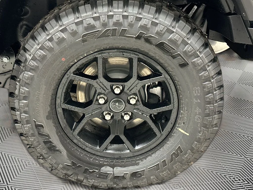 New 2026 Anvil Clear-Coat Exterior Paint Jeep Willys image 19