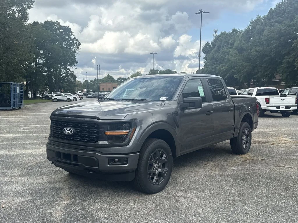 New 2026 Gray Ford STX image 3
