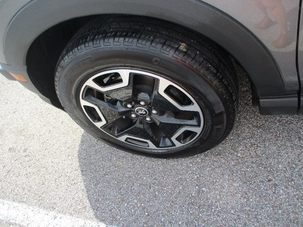 Photo 25