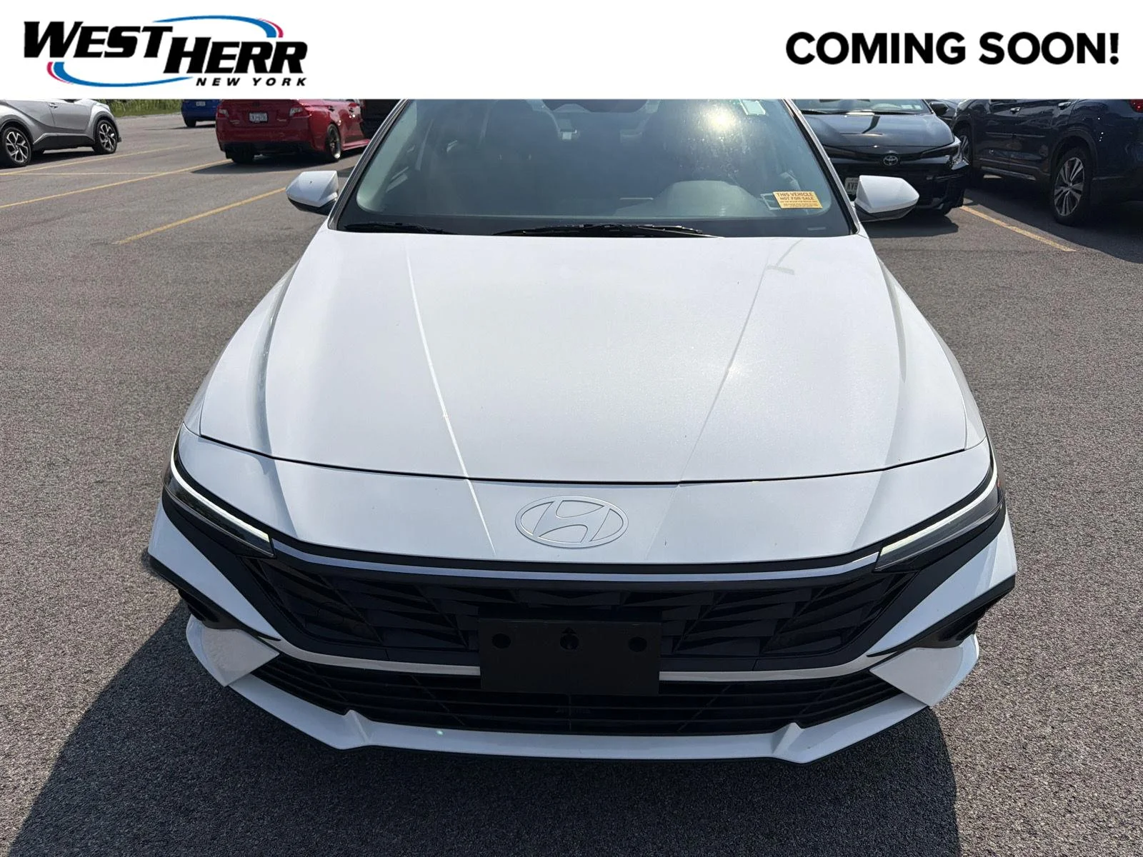 Used 2024 Serenity White Hyundai SEL image 1