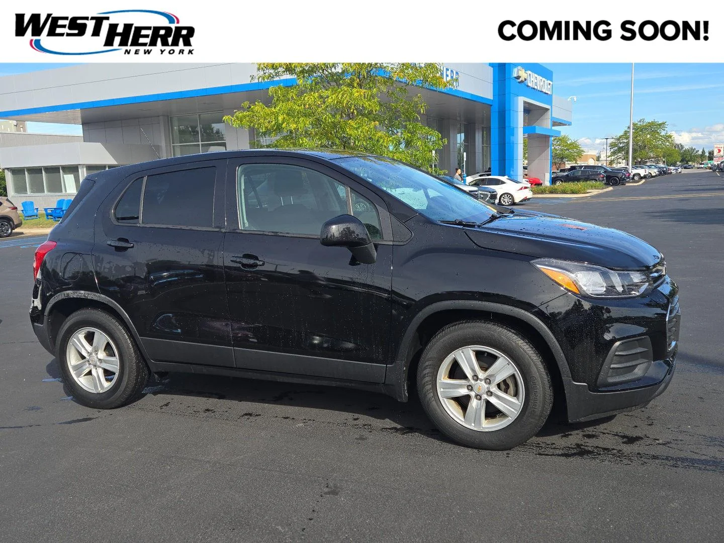 Used 2020 Mosaic Black Metallic Chevrolet LS image 1