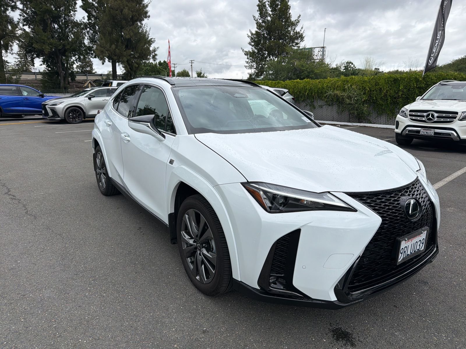 2025 Lexus UX Hybrid 300h F Sport Design