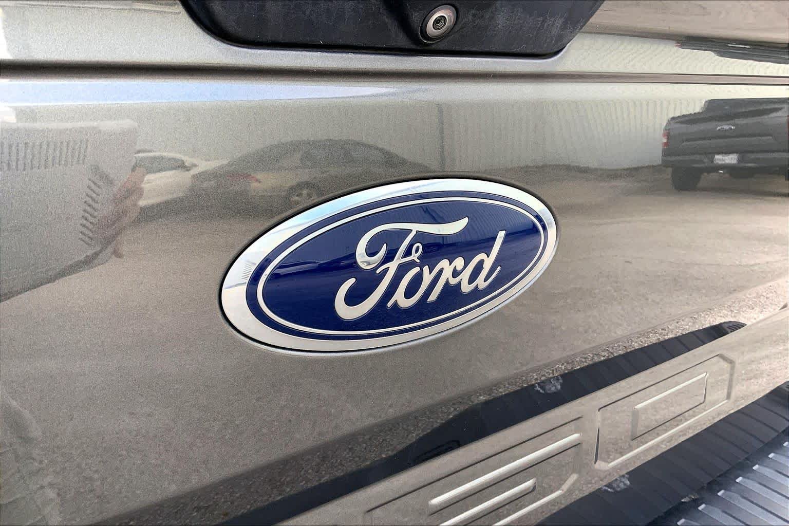 Used 2019 Magnetic Metallic Ford Raptor image 19