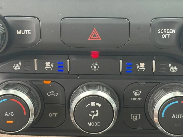 Used 2020 Black Ram Laramie image 30