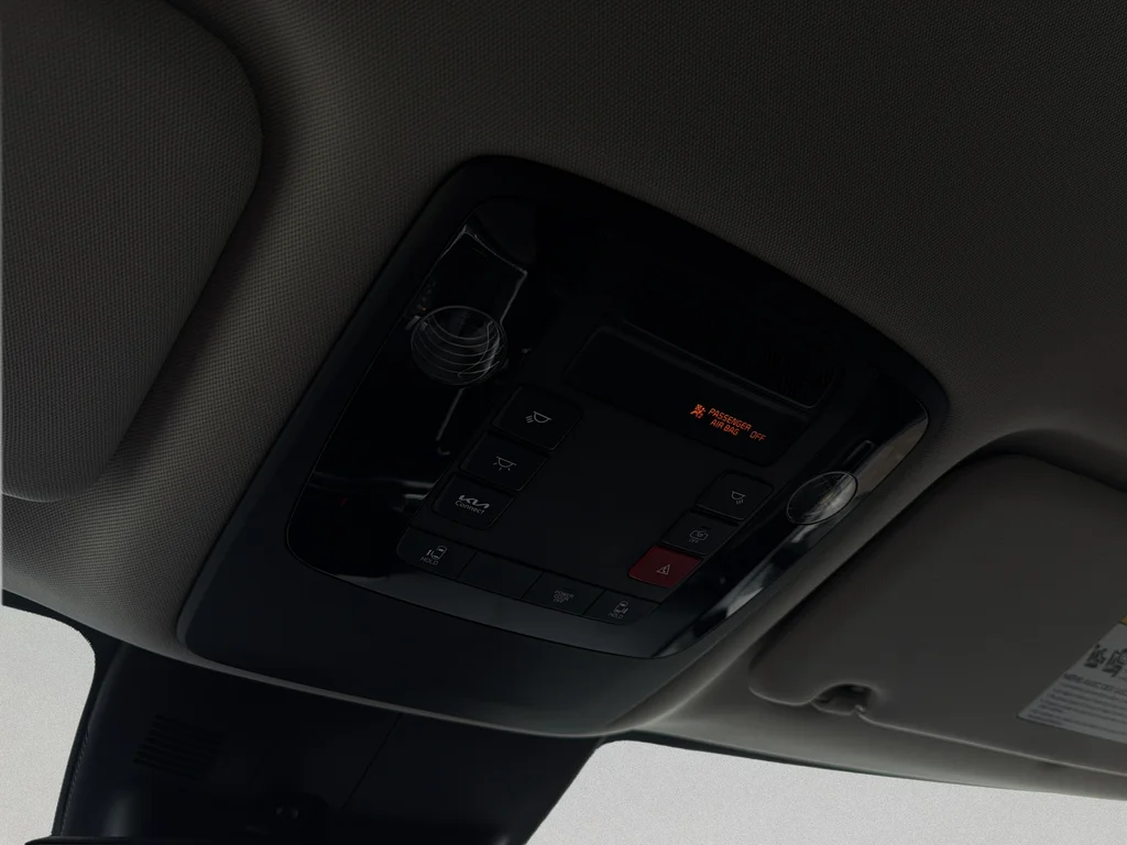 Used 2025 Panthera Metal Kia LXS image 13