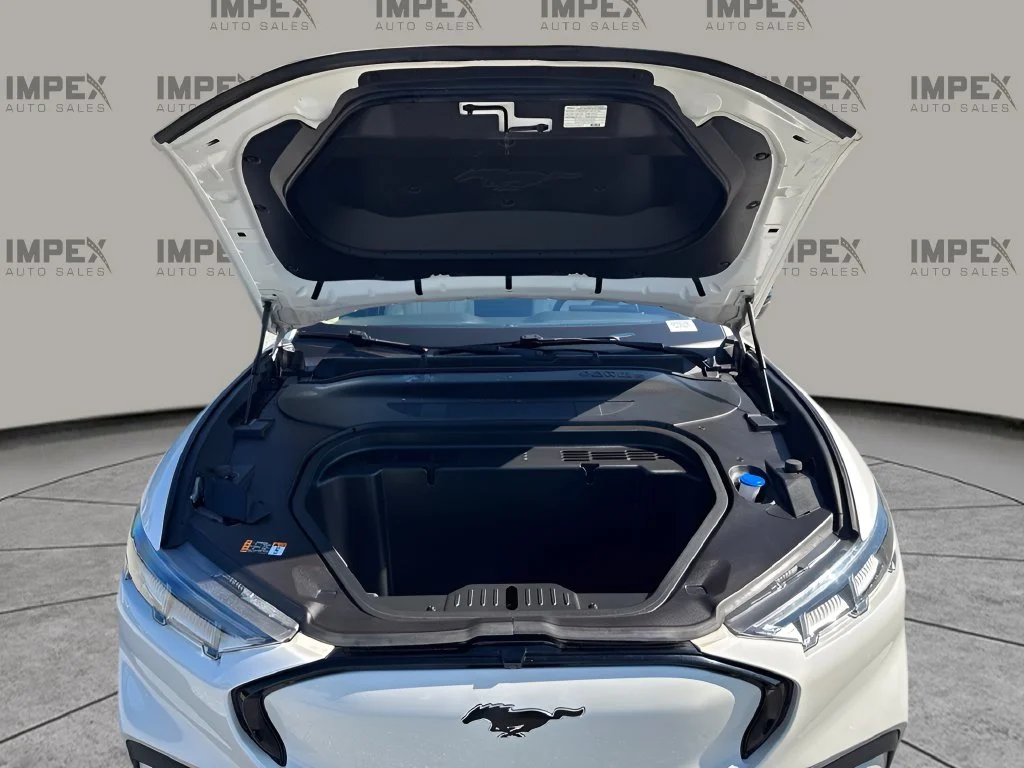 Used 2023 White Ford Premium image 29