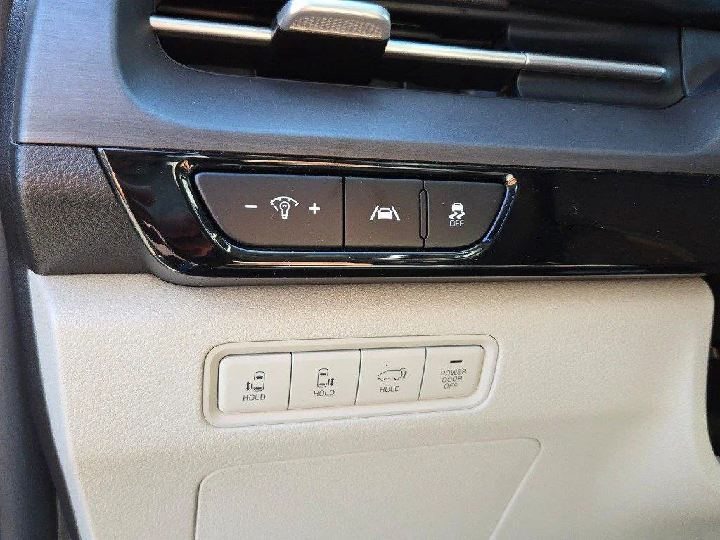Used 2022 Panthera Metal Kia EX image 23