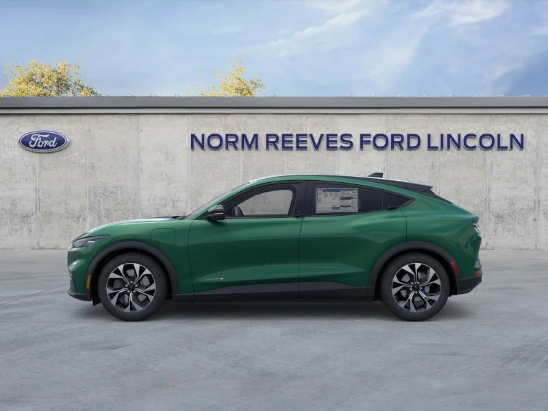 New 2026 Eruption Green Metallic Ford Select image 32