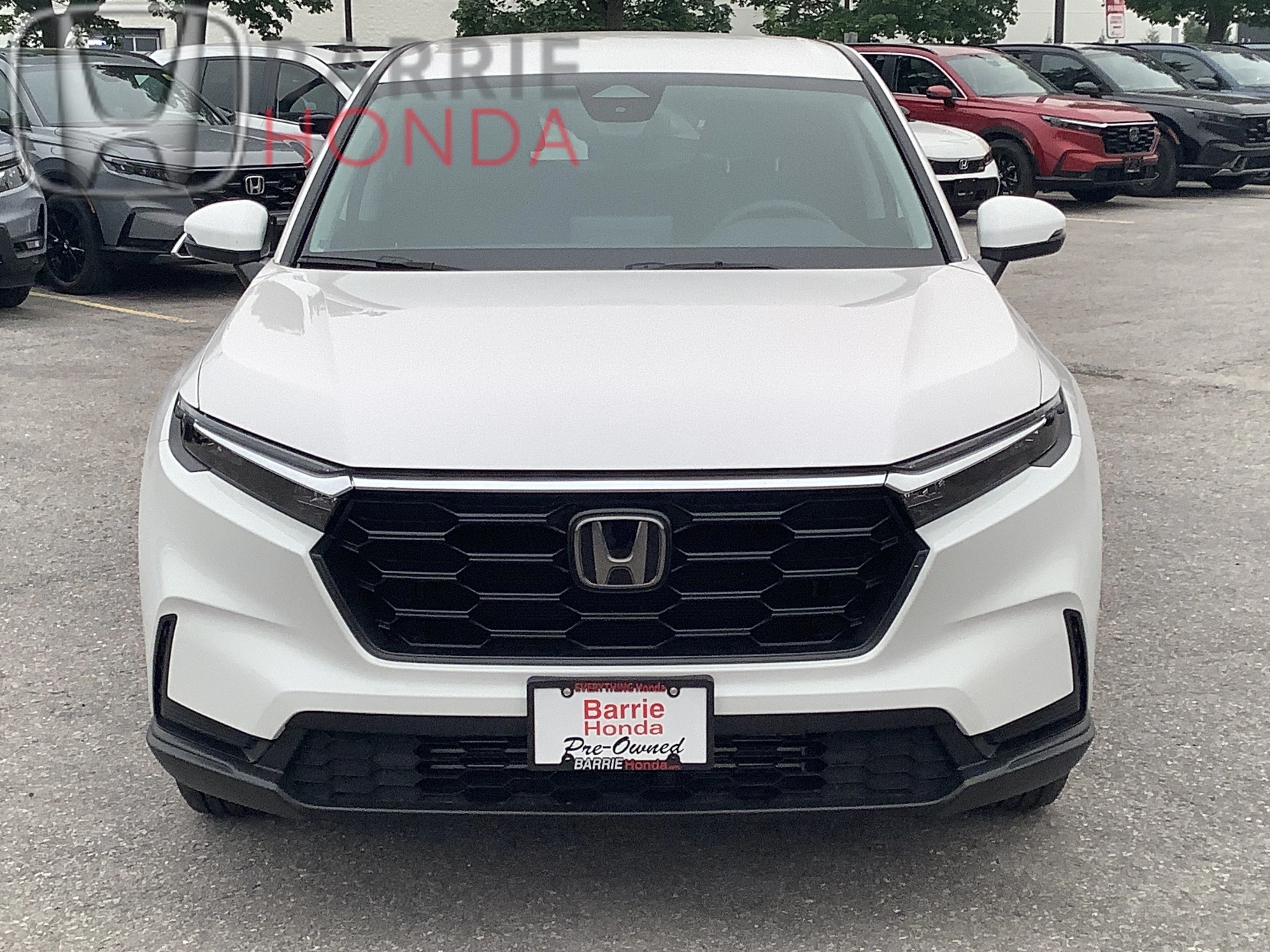 Used 2024 Platinum White Pearl Honda LX-B image 21