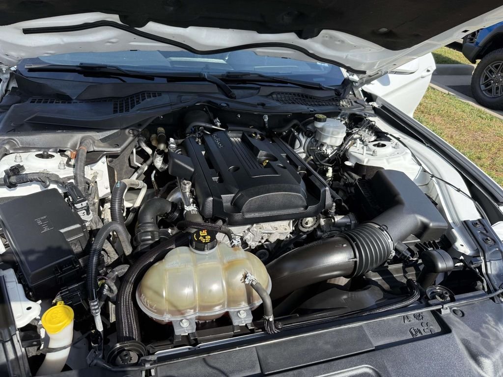 Used 2019 White Ford EcoBoost image 12