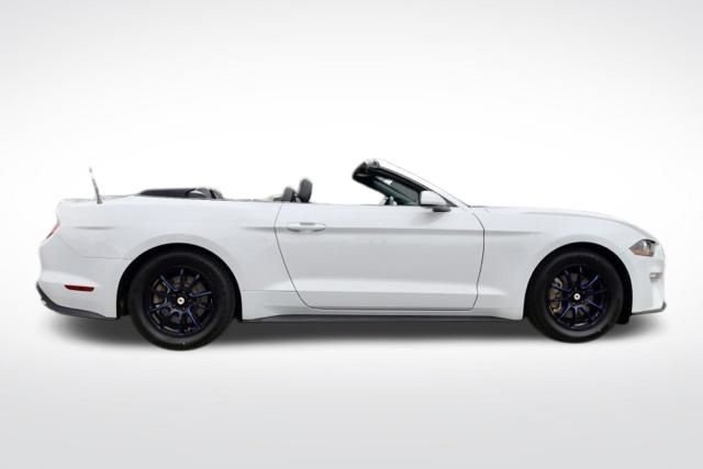 Used 2021 Oxford White Ford EcoBoost Premium image 13