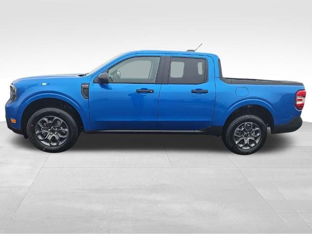 New 2026 Velocity Blue Ford XLT image 19