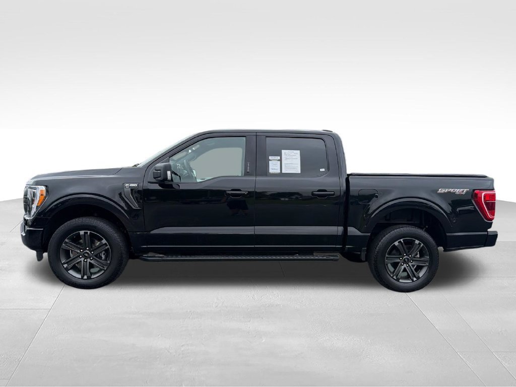 Used 2023 Black Ford XLT image 2
