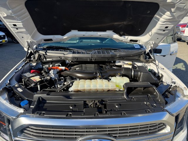Used 2021 White Ford Limited image 24