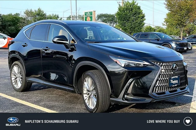 2025 Lexus NX 350 Premium