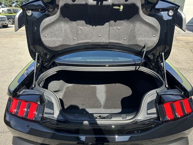 New 2026 Shadow Black Ford EcoBoost® Premium Fastback image 22