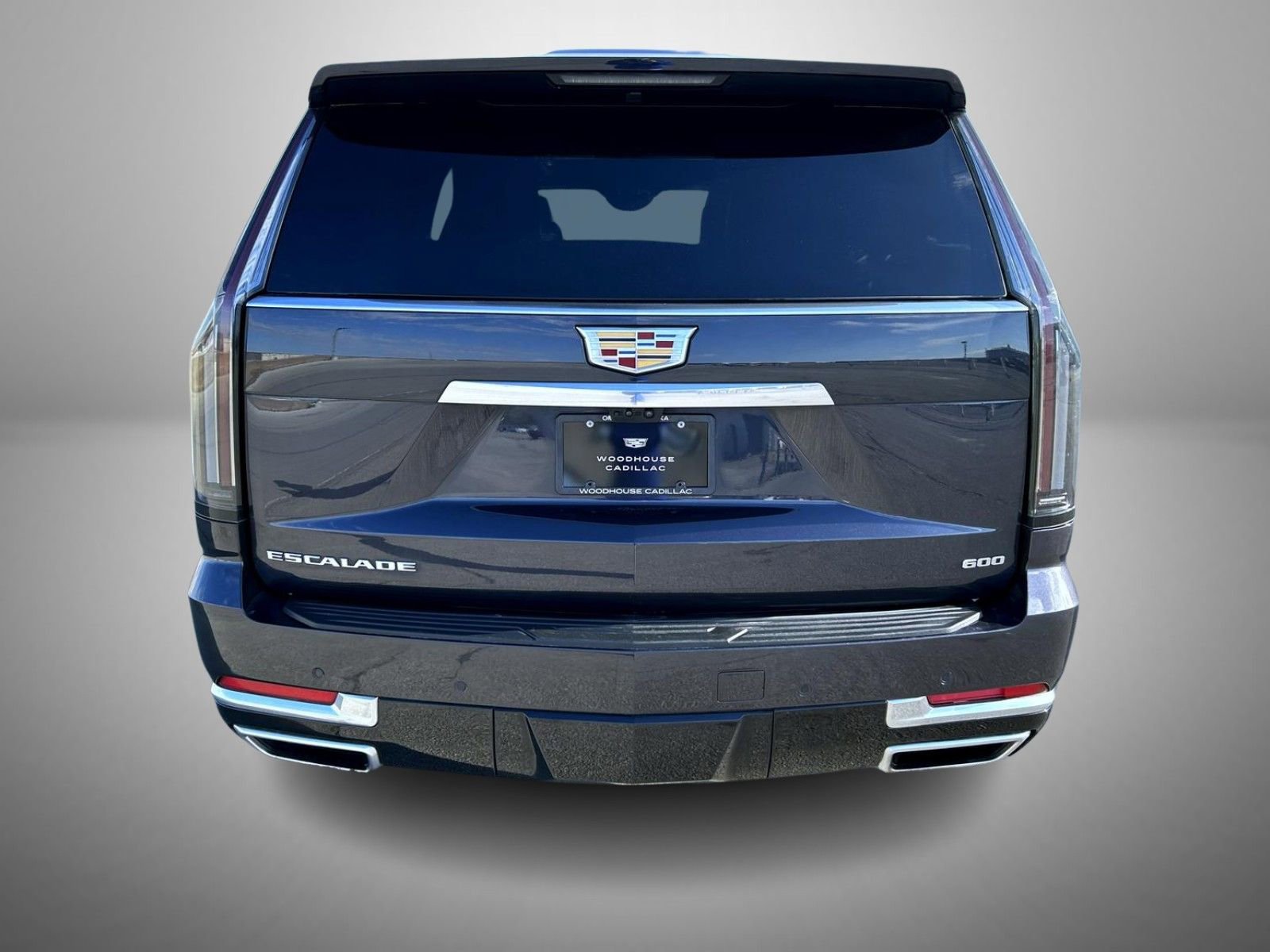 2025 Cadillac Escalade ESV Premium Luxury Platinum - Photo 6