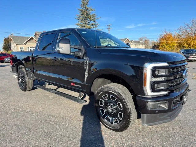 Used 2026 Black Ford Platinum image 1