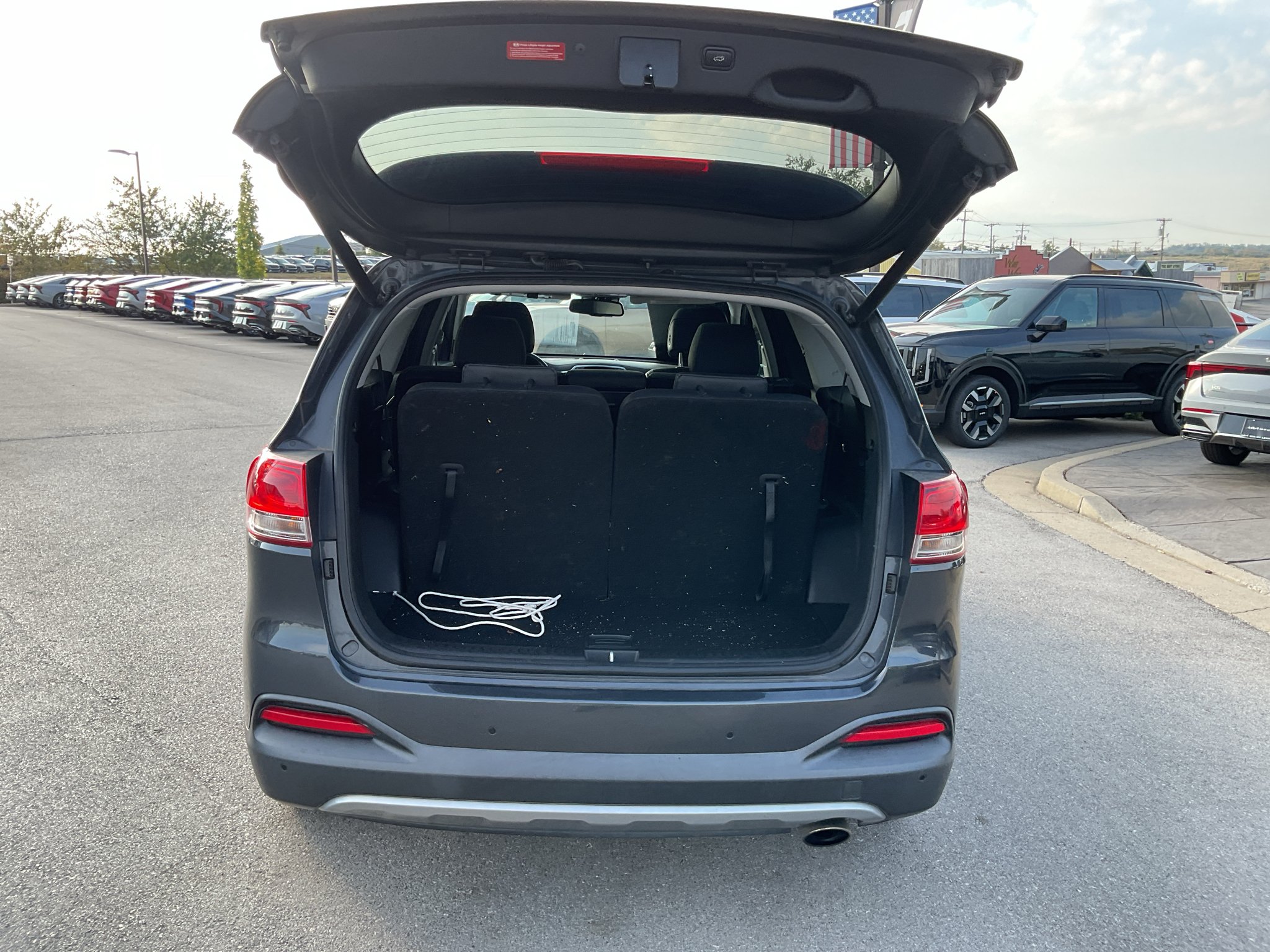 Used 2017 Platinum Graphite Kia EX V6 image 15