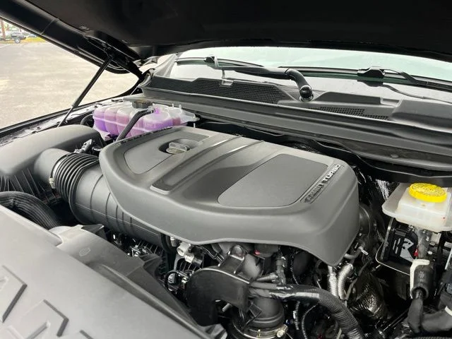 New 2026 Diamond Black Crystal Pearl-Coat Exterior Paint RAM Express image 24