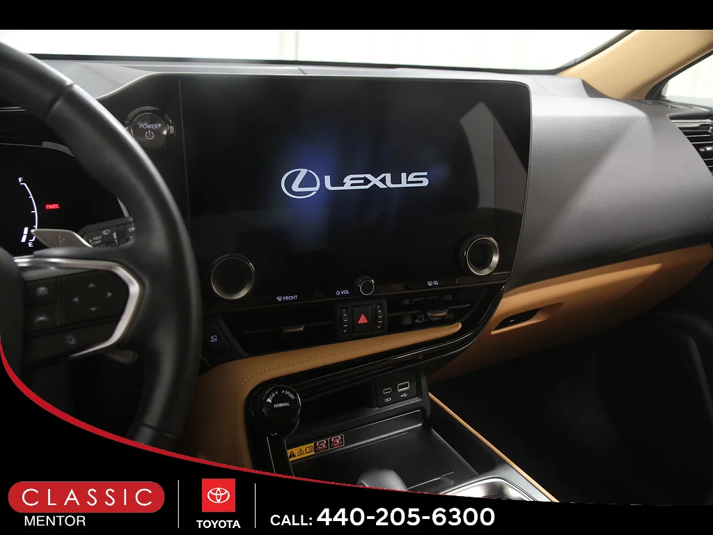 Used 2025 Cloudburst Gray Lexus Premium image 9