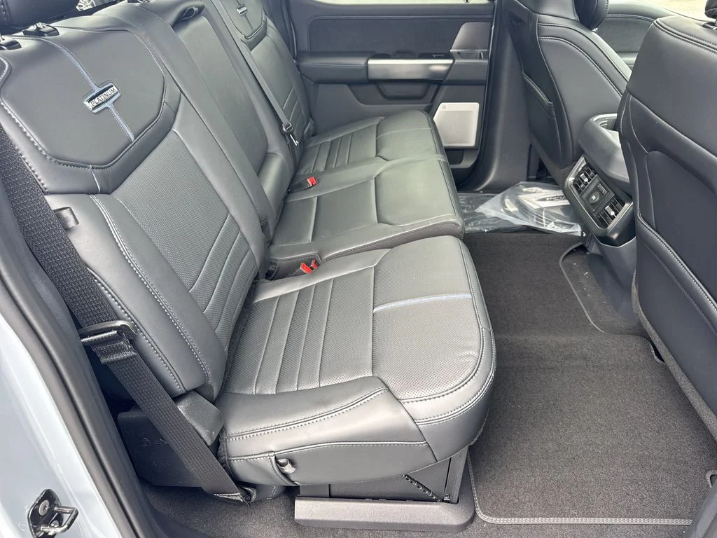 New 2026 Gray Ford Platinum image 15