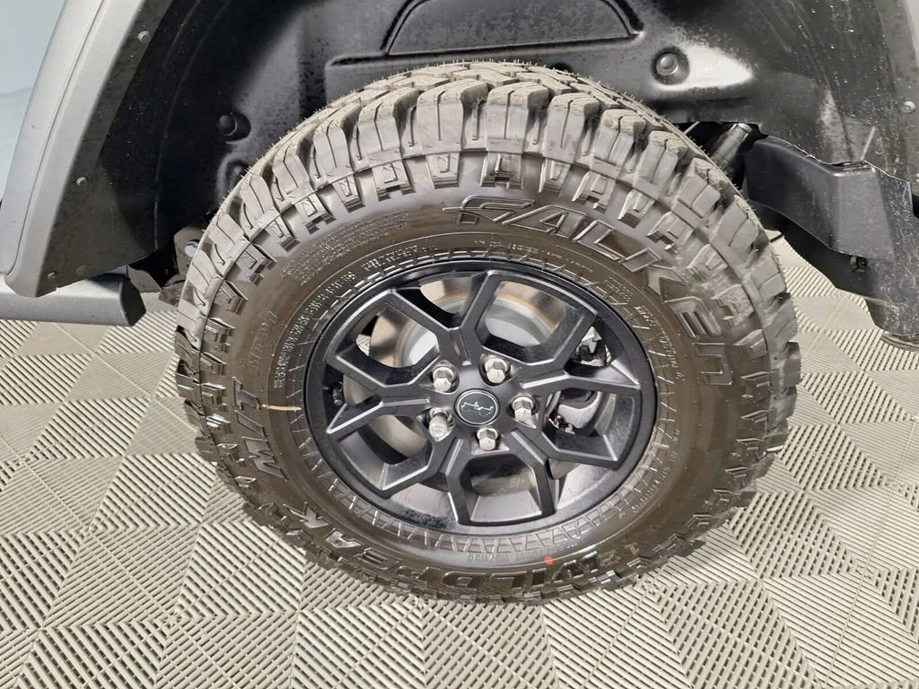 New 2026 Anvil Clear-Coat Exterior Paint Jeep Willys image 16