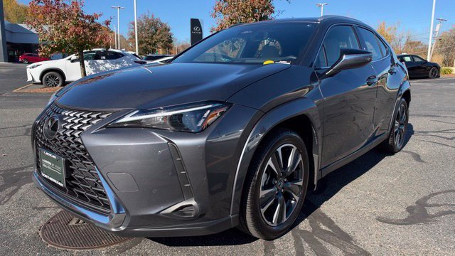2025 Lexus UX 300h Premium